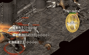 zhaohf